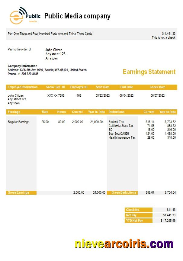 public media company  earning statement